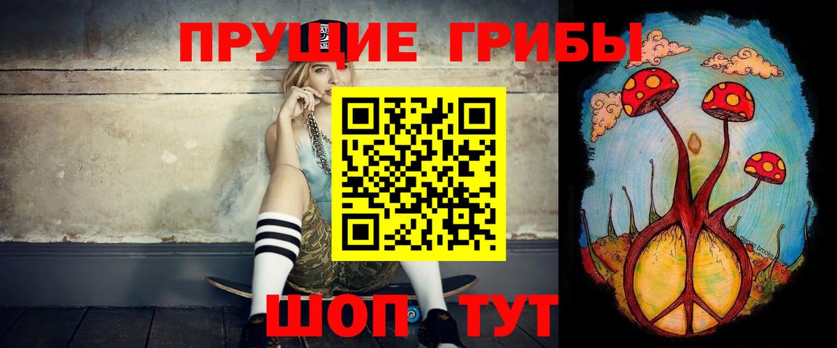 Галлюциногенные грибы Psilocybine cubensis Артёмовский